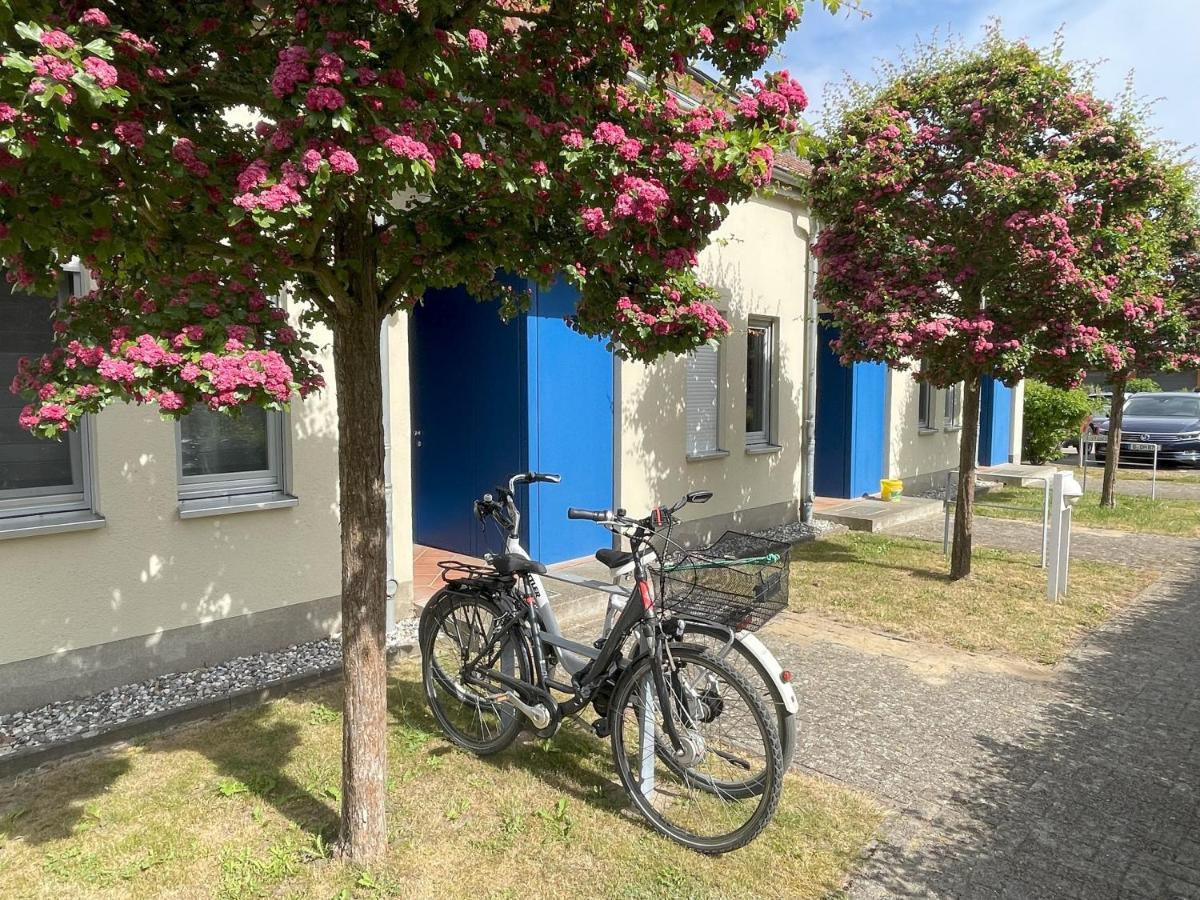 Ferienwohnung Seeterrassen Dewichow Экстерьер фото